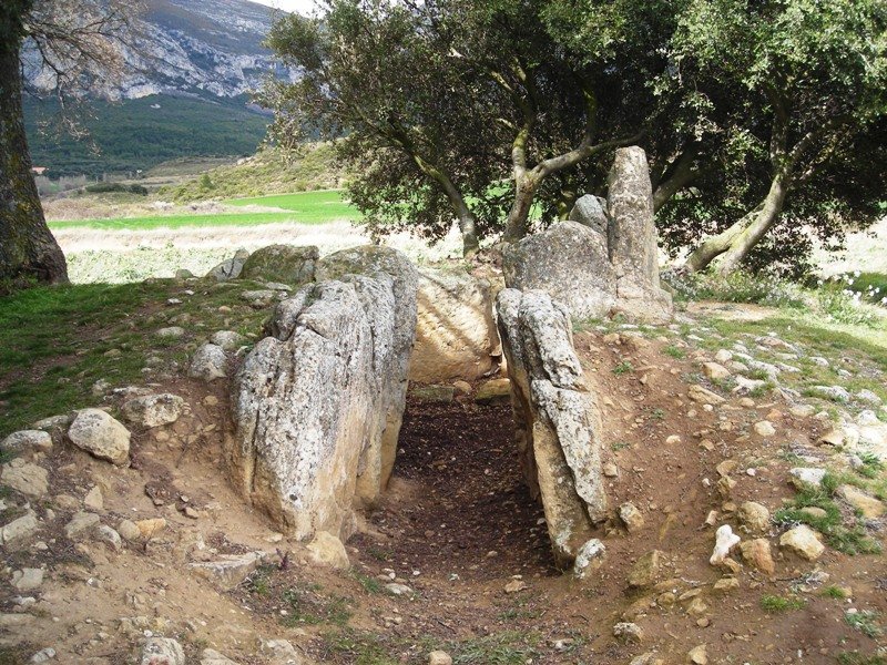 El  Sotillo trikuharria