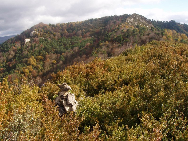 Lakarri Beltzunegi Harriko gailurretik