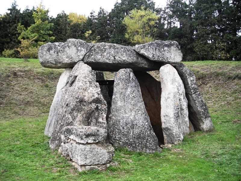 Aitzkomendi trikuharria