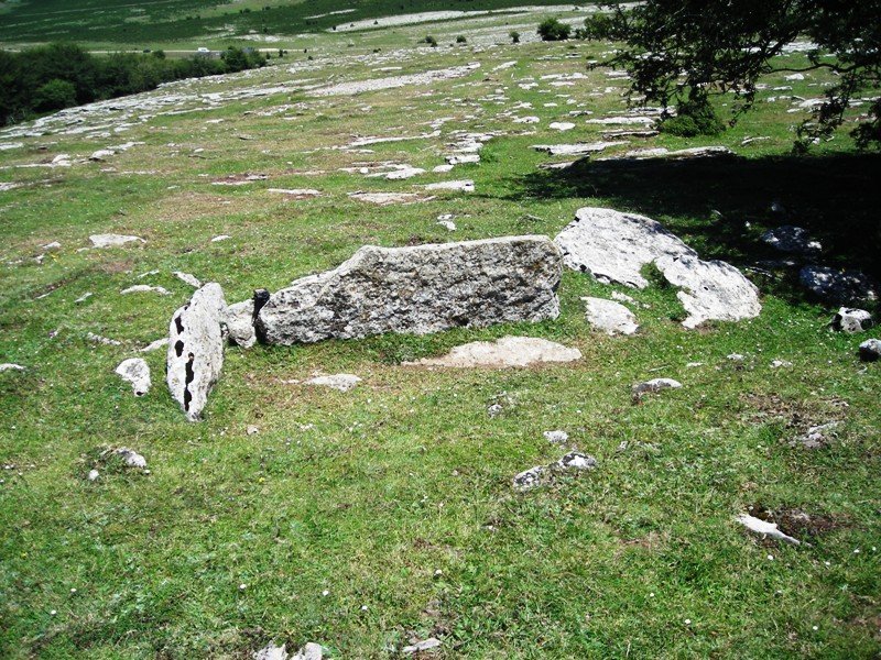 Saguain 1 trikuharria