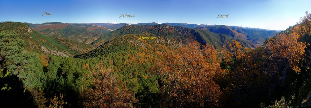 Panorama Oihanburuko aurregailurretik