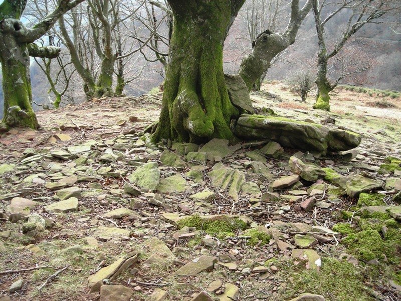 Urrixka 1 trikuharria