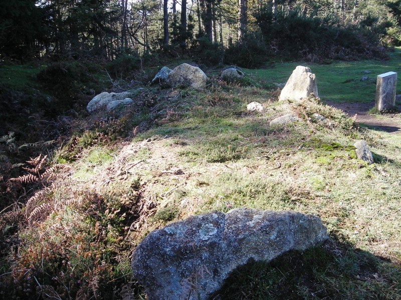 Burnaiztietako lepoa  harrespilak