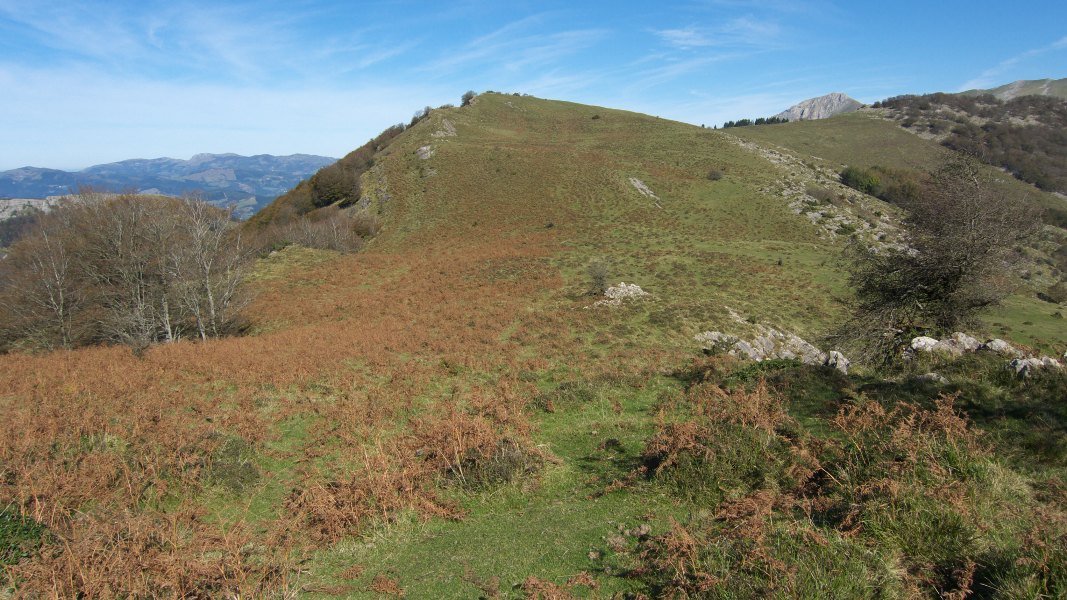 Leizadi aldetik ikusita