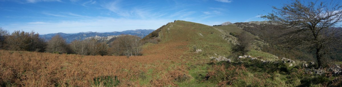 Leizadi aldetik ikusita