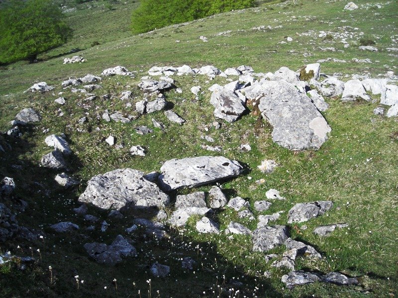 Santa Marina trikuharria