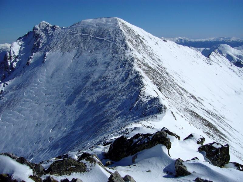 Tontorra, Tres Proviciasetik