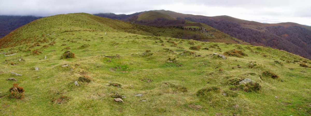 Auntzbizkarreko mairubaratzetako bat