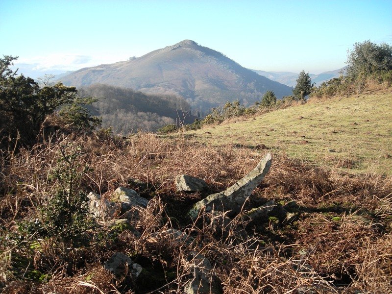 Larria III trikuharria