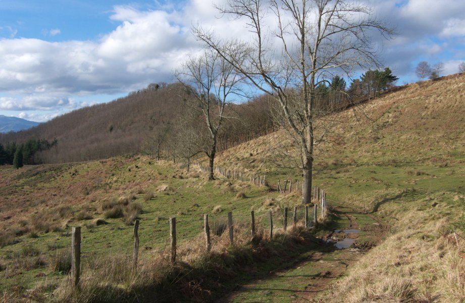 Akola aldera doan bidea