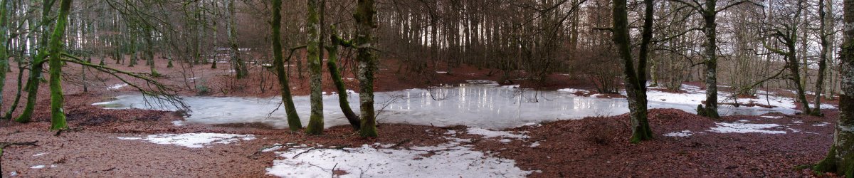 Ur putzua iparraldeko gailurretik hurbil
