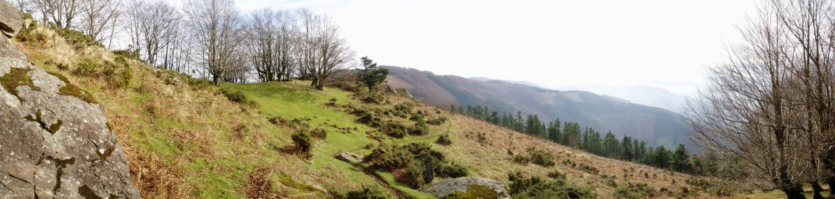 Atxolin Txiki tumulua argazkiaren ezkerraldeko pagoen artean dago