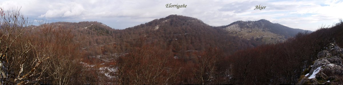 Akier eta Elorrigaine Sollaunditik
