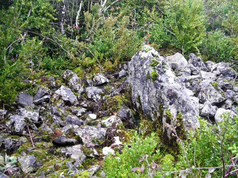 Ugarra 2 mendebal trikuharria