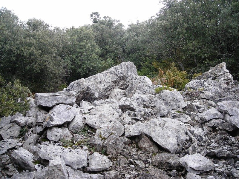 Ugarra 1 ekialde trikuharria