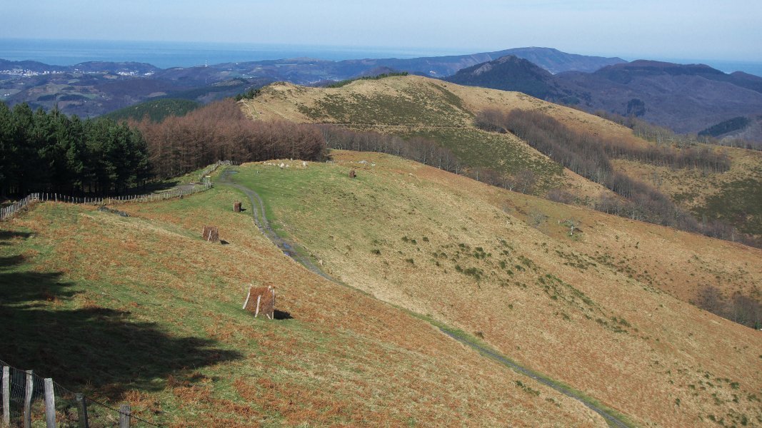 Urrutitik ikusten da