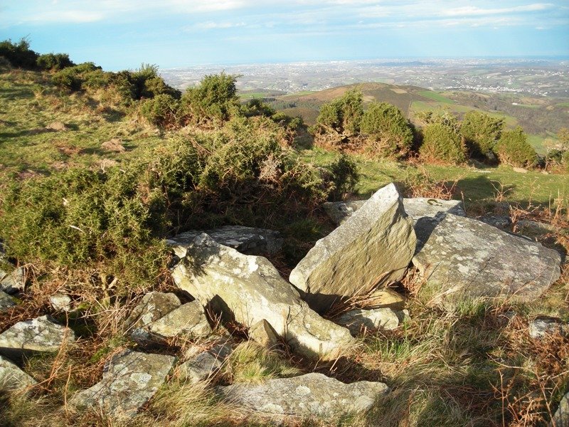 Altsaan  3  trikuharria