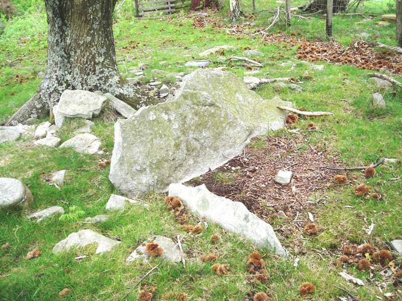 Argibele I  trikuharria