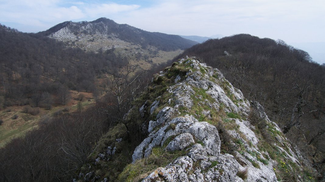 Tontor nagusitik Ekialdera begira