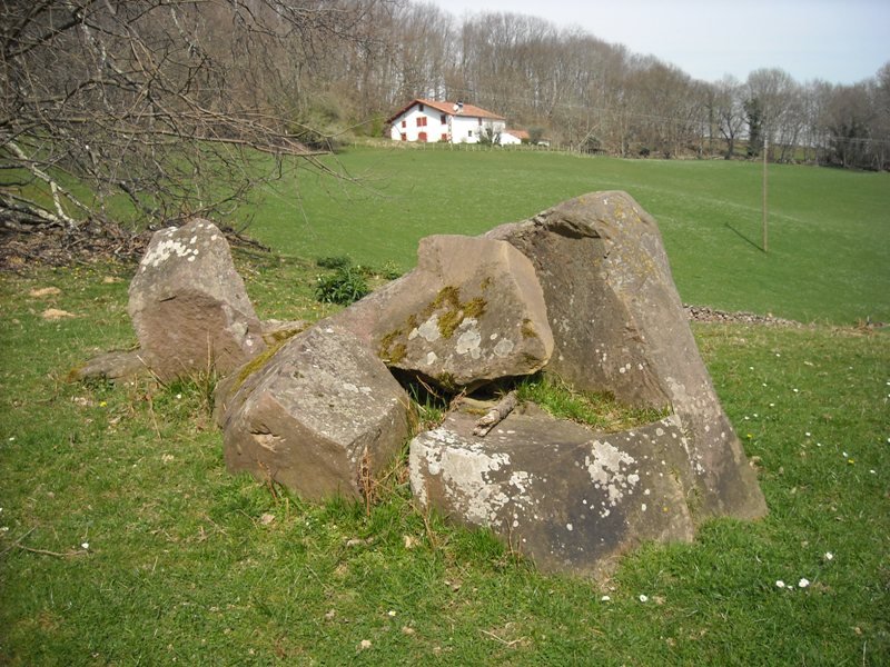 Erramonenea trikuharria