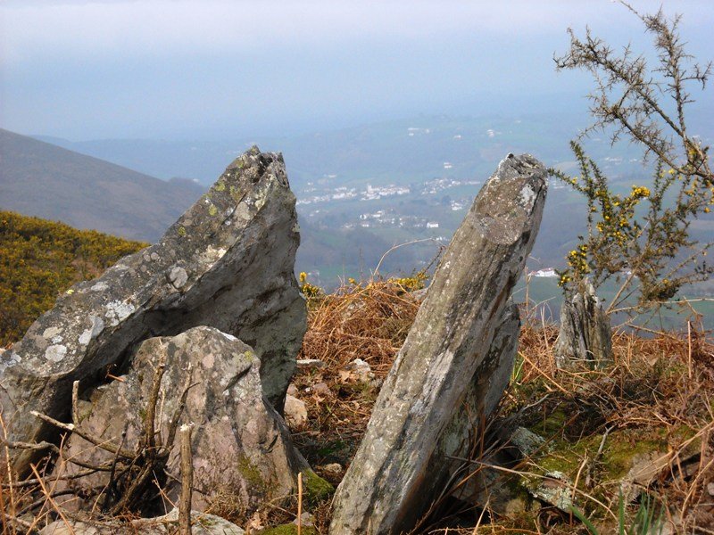 Xarita I trikuharria