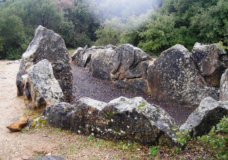 Los Llanos trikuharria