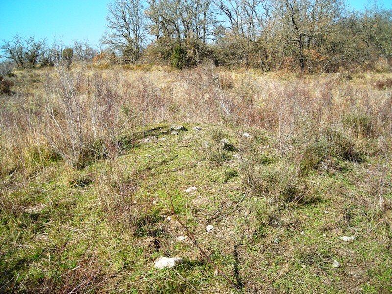 Larras eremu tumularra