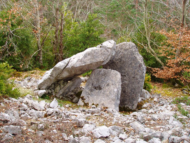 Claverito trikuharria