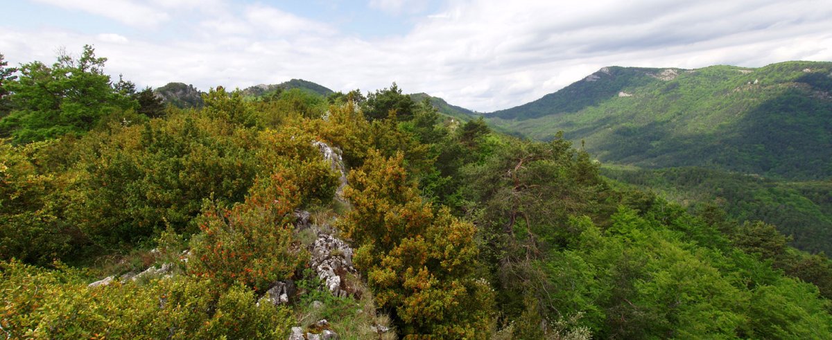 Santa Agedako gailurra