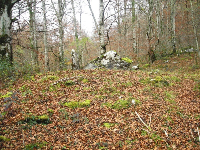 Ithe II ipar trikuharria