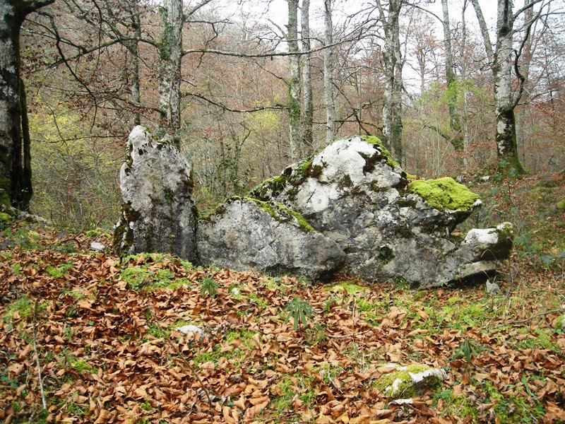 Ithe II ipar trikuharria