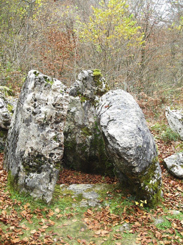 Ithe I hego trikuharria