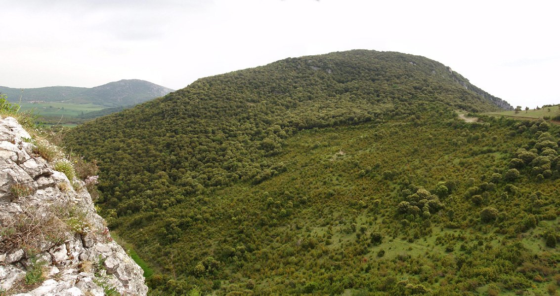 Oiakarizketa Peña Txikitatik