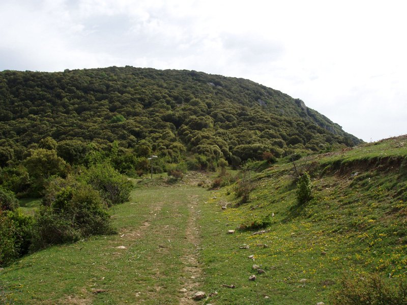Oiakarizketa eta Esparatzen arteko lepoa
