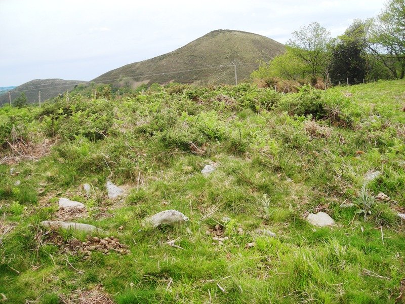 Argibele III trikuharria