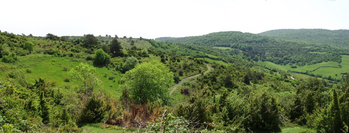 Larrogain eta Korroskarri, Aintzioako bidetik