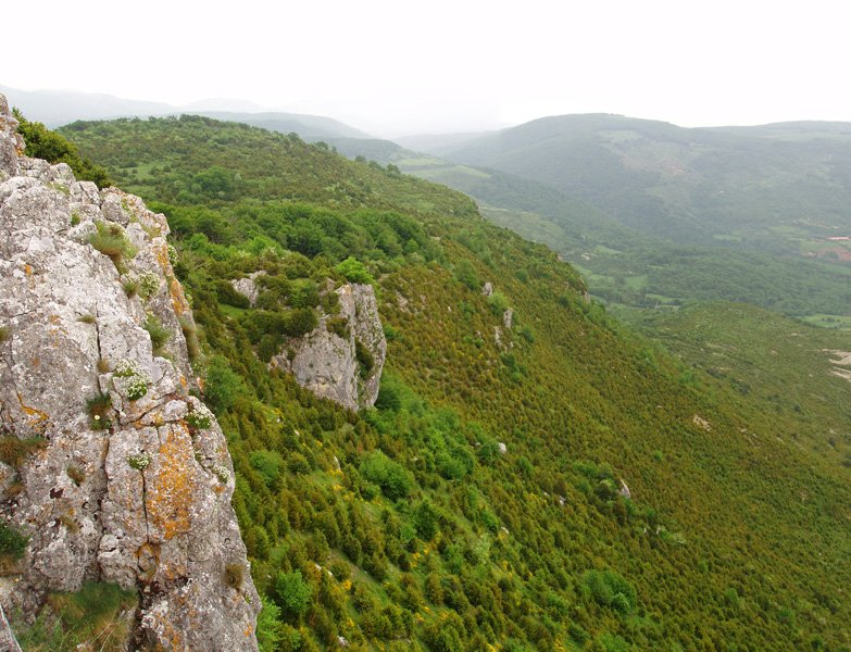 Lirain Artze gaineko labarretatik