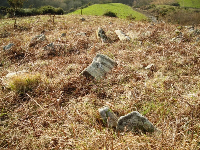 Galbario II trikuharria