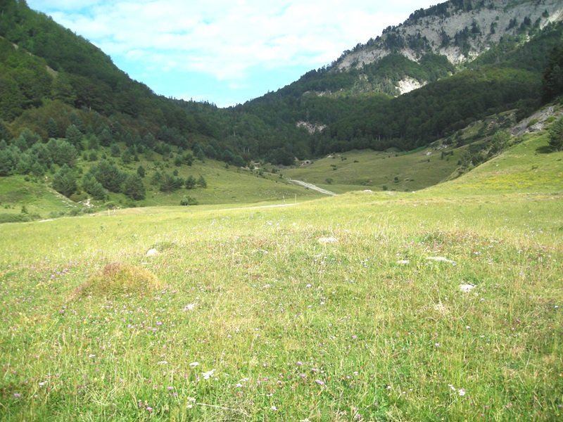 Fuente de los Clérigos 2 trikuharria