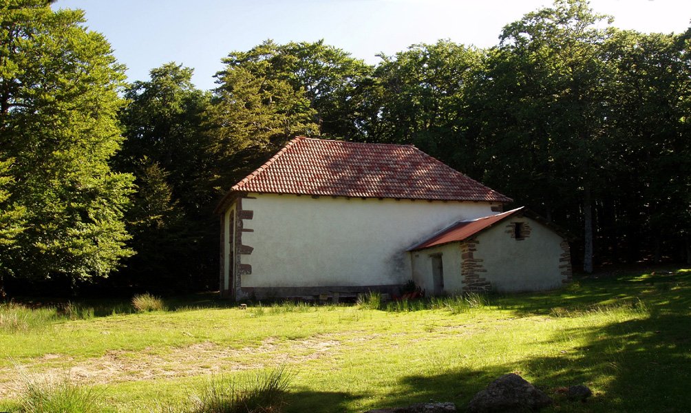 Burdindogiko Krisko Sainduaren baseliza