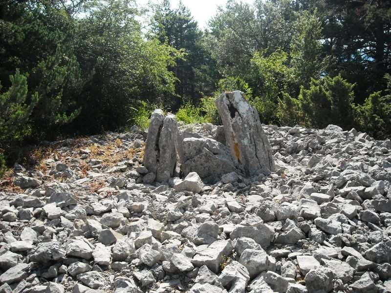 Sagarrana trikuharria