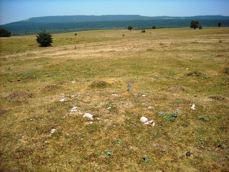 Camino de Arratondo ipar