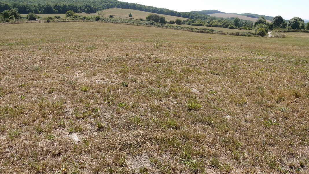 Harri mutur batzuk besterik ez lur azalean