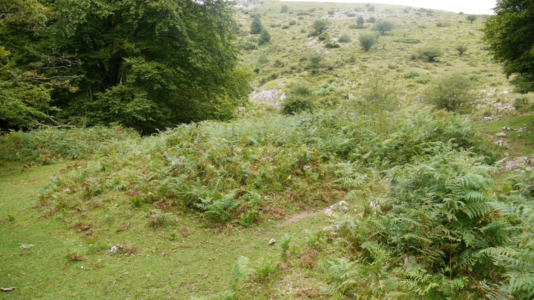 Erdialdeko iratze pila horretan dago