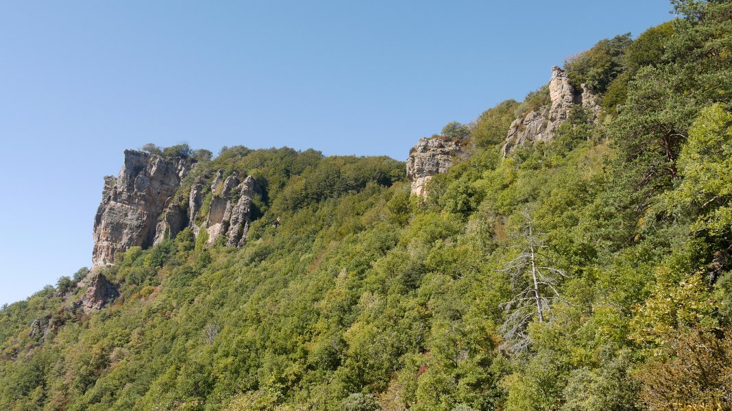 Ekialdetik ikusita, Cerradako bidetik