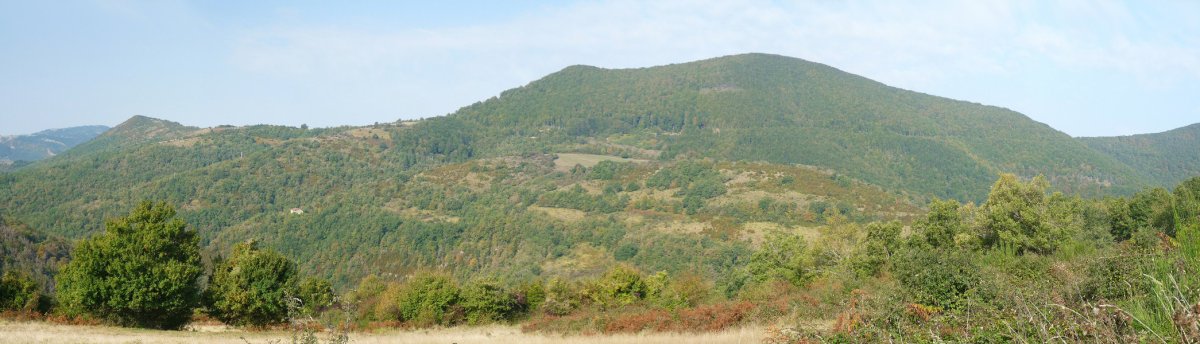 Artzabal (Iramendi-Amuz) Bagoadietatik