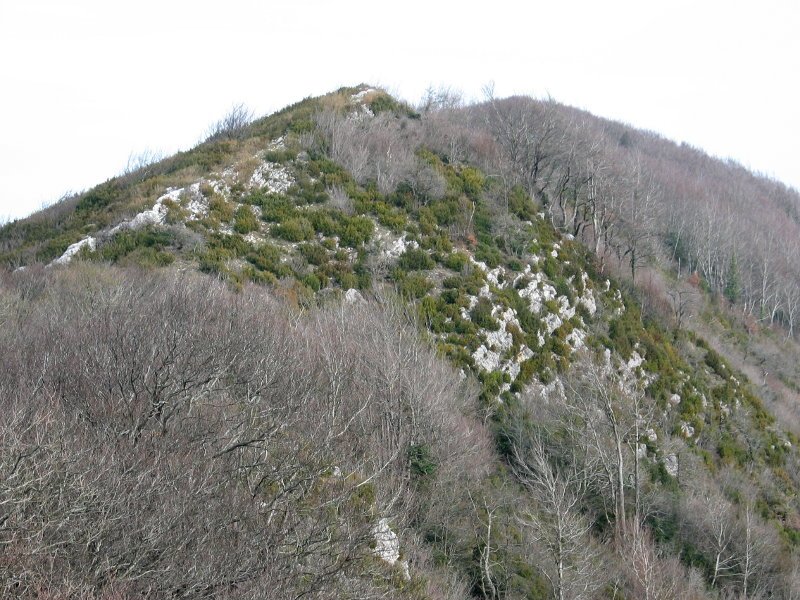 Carrascal eta Alaitz arteko pasarte bat