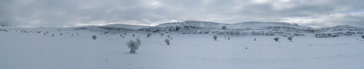 Dorrokotekako gandorrak egunsentian