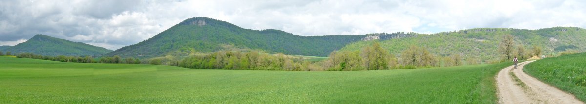 Larraona inguruko zelaiak