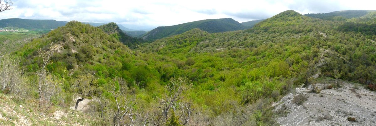 Lokiz iparraldeko gainak Armontu/Zulazpetik
